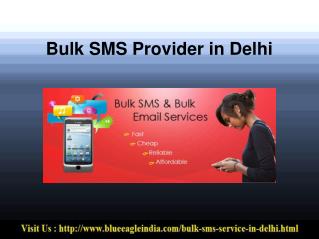 Bulk SMS Provider in Delhi