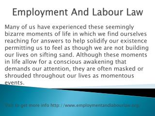 www.employmentandlabourlaw.org
