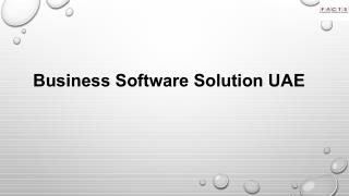 Business Software Solution UAE