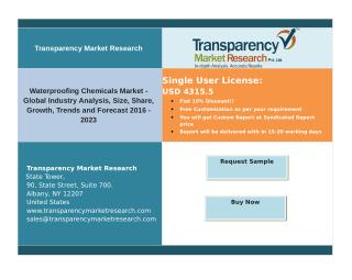 Waterproofing Chemicals Market - Global Industry Analysis, Trends and Forecast 2016 - 2023