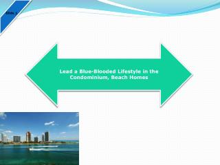 Lead a Blue-Blooded Lifestyle in the Condominium, Beach Homes