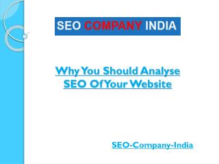 Why You Should Analyse SEO Of Your Website