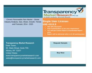 Global Chronic Pancreatitis Pain Market segmented based on Therapy Type and Geography