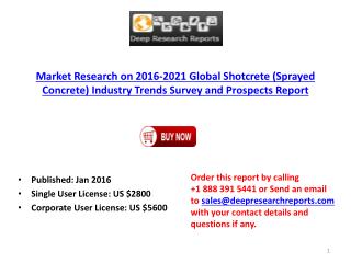 Global Shotcrete (Sprayed Concrete) Industry Trends Survey and 2021 Prospects Report