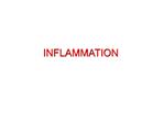 INFLAMMATION