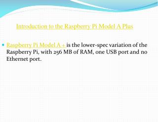 Raspberry Pi Model A India
