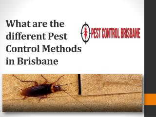 What are the different Pest Control Methods in Brisbane