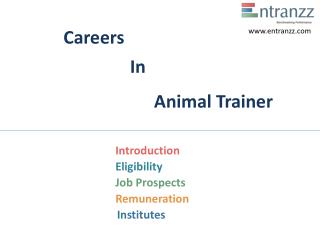 Careers In Animal Trainer
