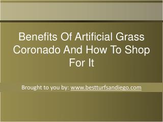 Benefits Of Artificial Grass Coronado And How To Shop For It