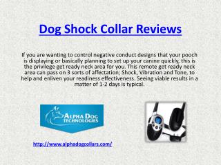 dog shock collars reviews