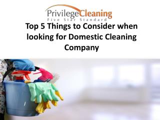 Top 5 Things to Consider when looking for Domestic Cleaning Company
