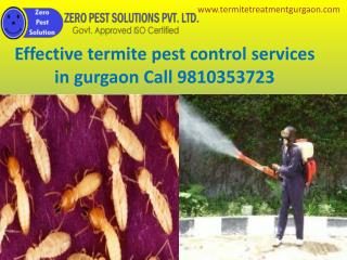 Effective termite pest control services in gurgaon Call 9810353723