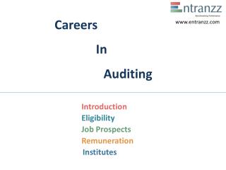 Careers In Auditing