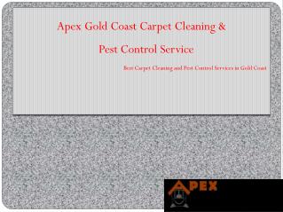 Apex Gold Coast Carpet Cleaning, Termite & Pest Control Service