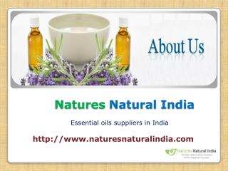 Bulk Essential Oils in India at Naturesnaturalindia.com