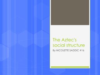 The Aztec's social structure