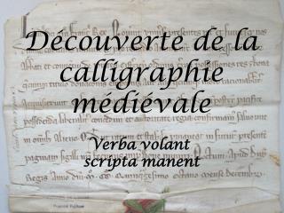 Découverte de la calligraphie médiévale