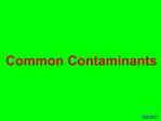 Common Contaminants