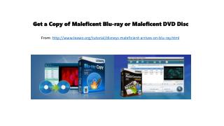 Get a copy of maleficent blu ray or maleficent dvd disc