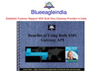 Bulk Sms Gateway Provider In India Establish Rapport with Custmer