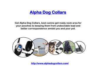 Alpha Dog Collars