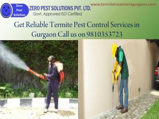 Get Reliable Termite Pest Control Services in Gurgaon Call us on 9810353723