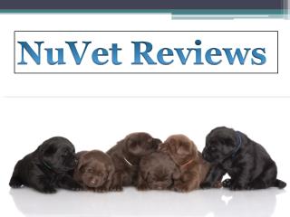 Nuvet Labs Reviews - Nuvet Reviews