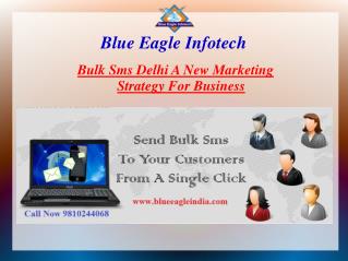 Bulk Sms provider in delhi. A new marketing strategy