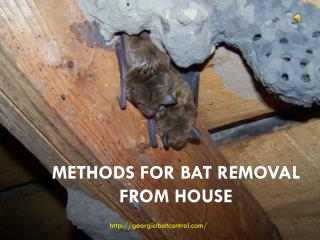 Methods for Bat Removal From House