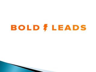 BoldLeads - Automated Real Estate Seller Lead Platform.