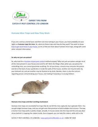 Humane Mice Traps and How They Work