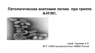 a.l.chernyaev