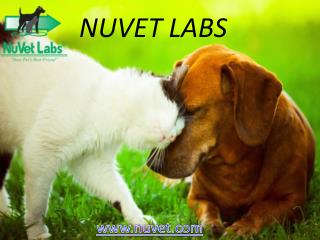 Nuvet Labs - Nuvet Labs Reviews