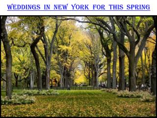 WEDDINGS IN NEW YORK FOR THIS SPRING