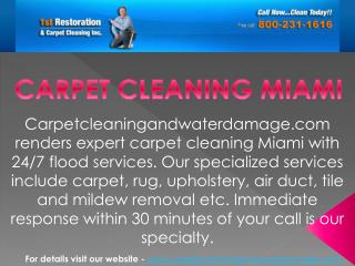 Best carpet cleaning services in Miami at carpetcleaningandwaterdamage.com