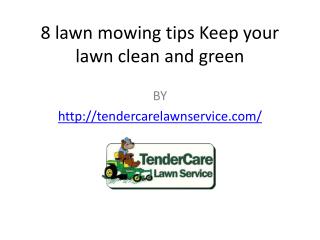 8 lawn mowing tips: Keep your lawn clean and green