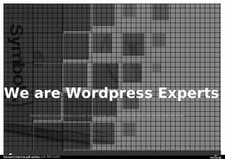 Wordpress Website Designer & Developer Expert