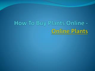 How To Buy Plants Online - Online Plants