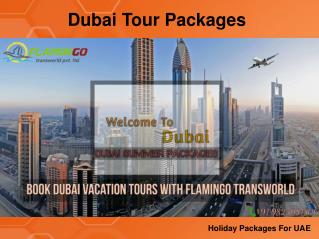 Dubai Tour-ready to experience with flamingoTransworld