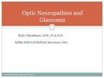 Optic Neuropathies and Glaucoma
