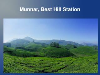 Places to visit in munnar
