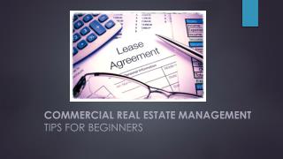 Commercial real estate management tips for beginners