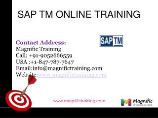 SAP TM ONLINE TRAINING UN AUSTRALIA|SOUTH AFRICA