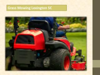 Grass Mowing Lexington SC