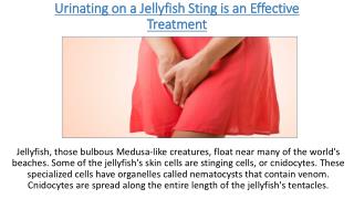 Urinating on a Jellyfish Sting is an Effective Treatment