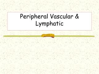 Peripheral Vascular & Lymphatic