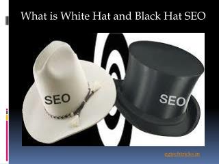 white hat and black hat SEO