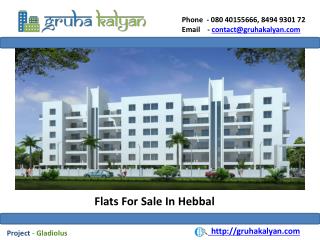 Flats for Sale In Hebbal Gladiolus