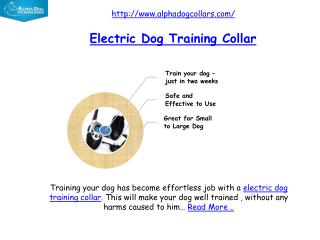 electric dog training collar