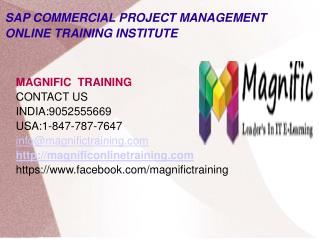 Sap commercial project management online training in usa